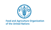 logo_fao
