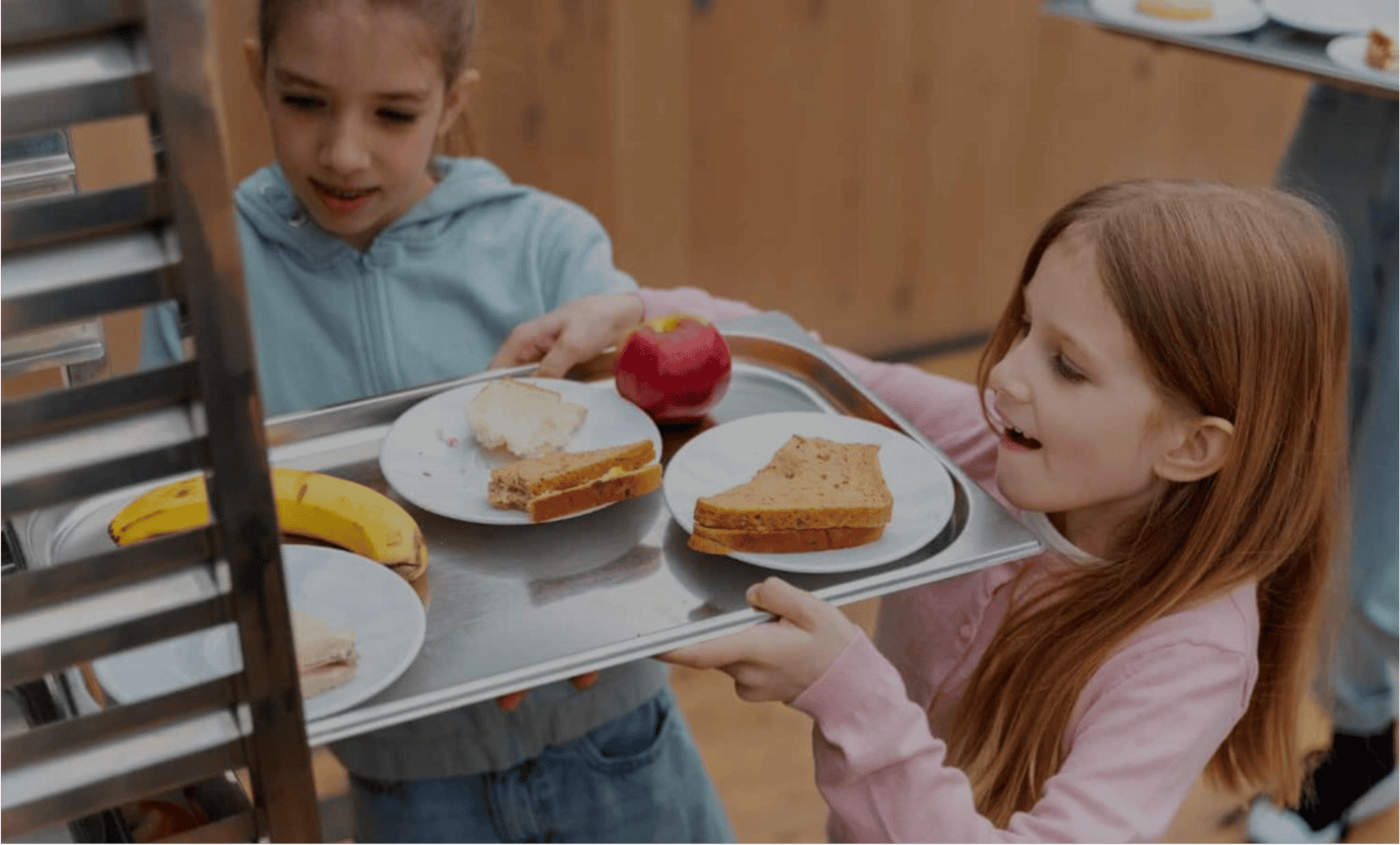 mywasteplate website background