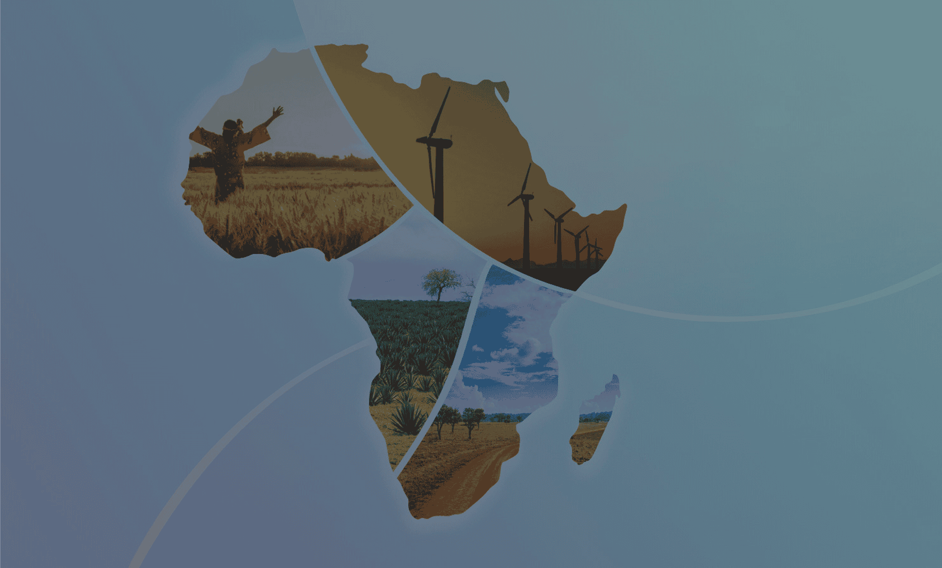 dev4u africa champion program 2025 4